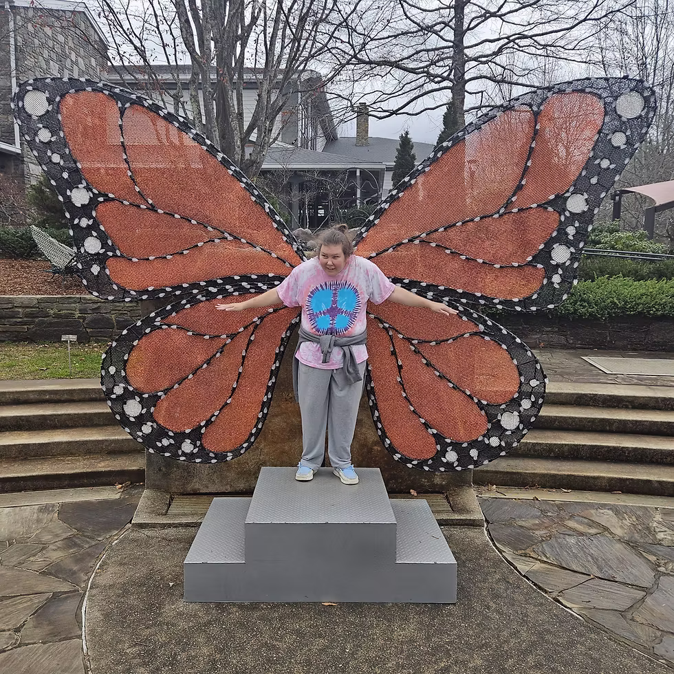 L butterfly